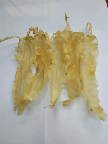 鱼胶粉桂花椰子糕制作方法(南国椰子糕配方？)